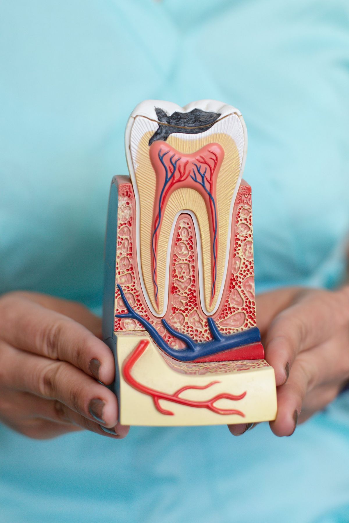 Advanced Clinical Root Canal Treatment